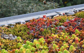 the cost of Oldhall Green green roof installation