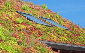 Oldhall Green living roof systems